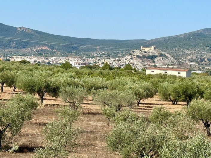 Image No.22-Villa de 3 chambres à vendre à Onil