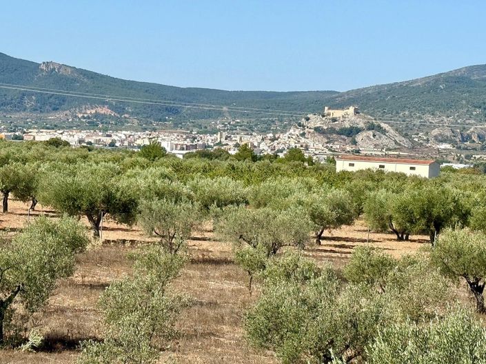 Image No.22-3 Bed Villa for sale