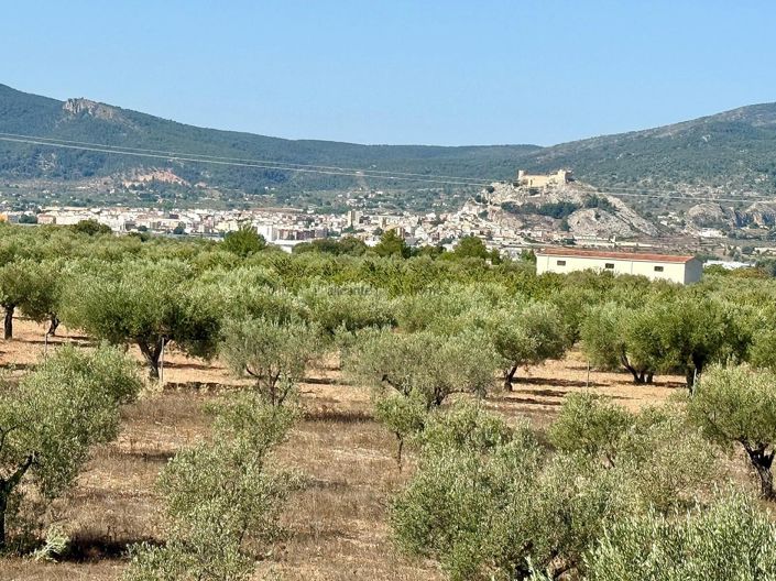 Image No.22-Villa de 3 chambres à vendre à Onil