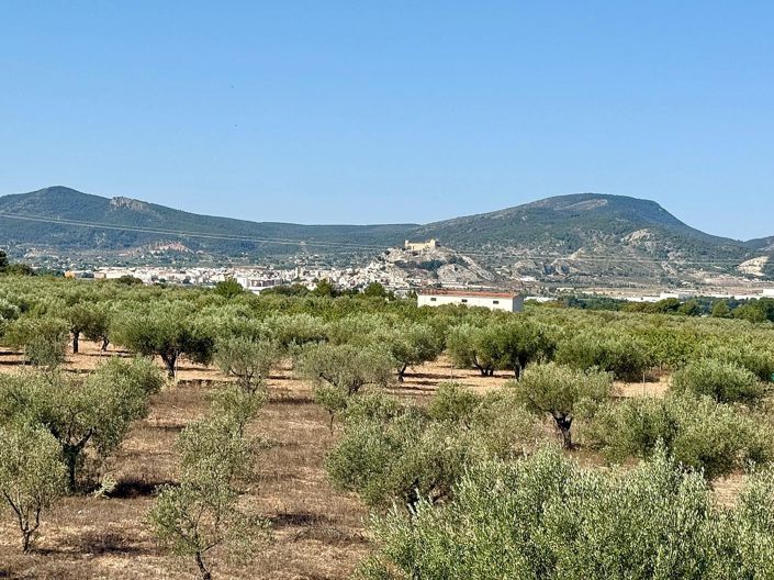 Image No.23-Villa de 3 chambres à vendre à Onil