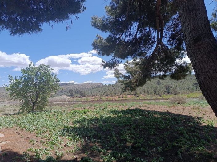 Image No.11-Maison de campagne de 2 chambres à vendre à Yecla