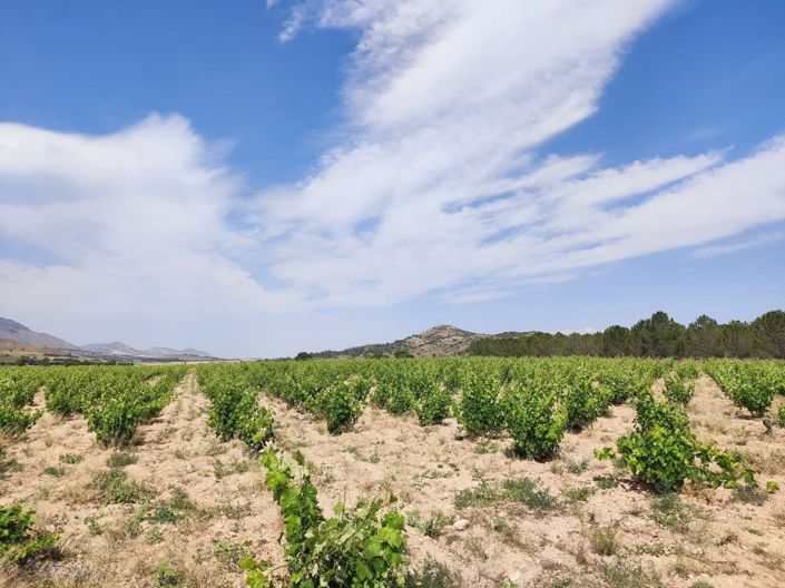 Image No.2-6 Bed Country House for sale