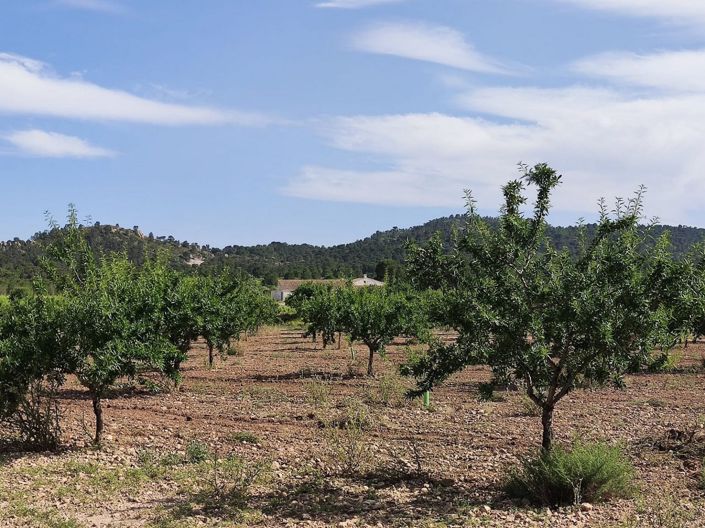 Image No.3-6 Bed Country House for sale