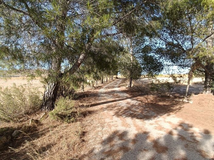 Image No.18-3 Bed Villa for sale