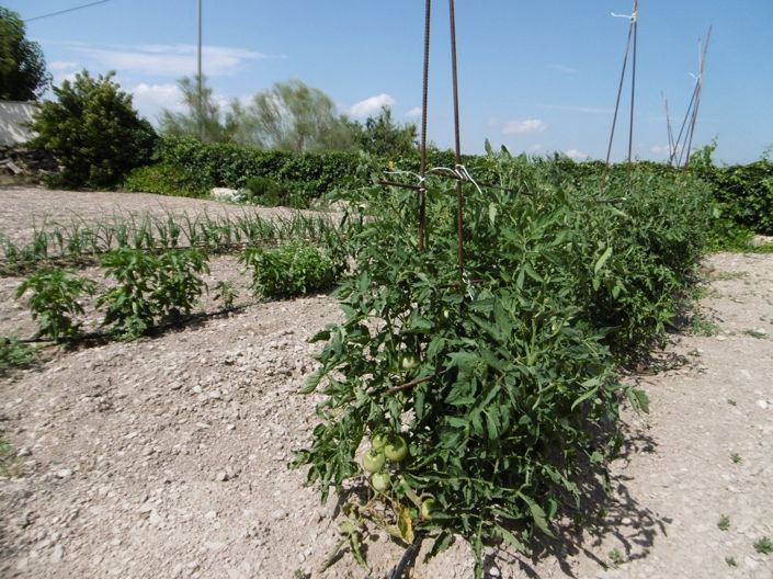 Image No.21-Villa de 6 chambres à vendre à Yecla