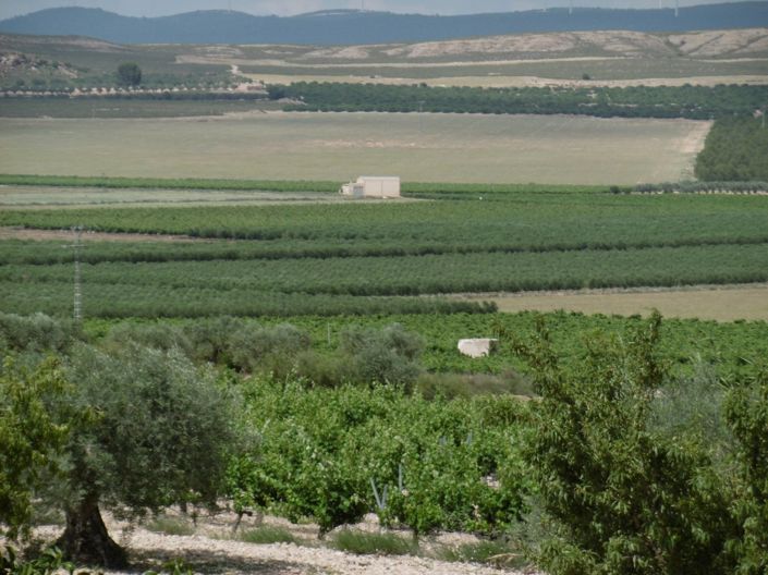 Image No.22-Villa de 6 chambres à vendre à Yecla