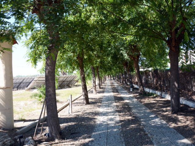 Image No.6-6 Bed Villa for sale