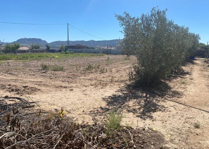 Image No.17-3 Bed Villa for sale