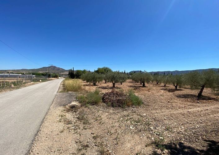 Image No.20-Villa de 3 chambres à vendre à Salinas