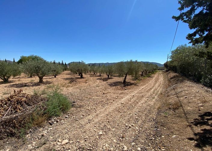 Image No.25-Villa de 3 chambres à vendre à Salinas