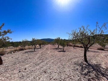 w8swgwsf6cnajttn0fwki