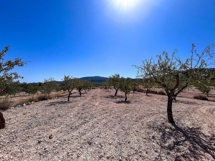 Image No.14-3 Bed Country House for sale