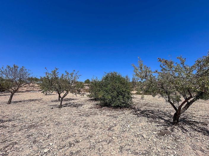 Image No.15-3 Bed Country House for sale