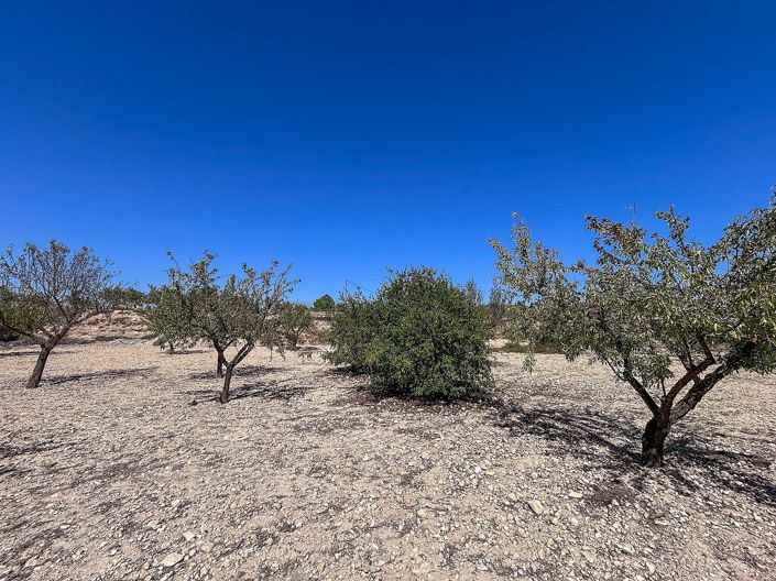 Image No.15-3 Bed Country House for sale