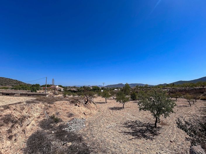 Image No.16-3 Bed Country House for sale