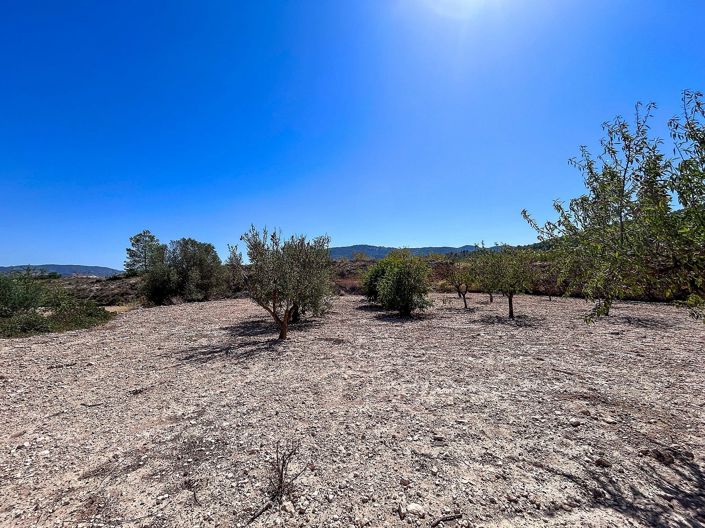 Image No.17-3 Bed Country House for sale