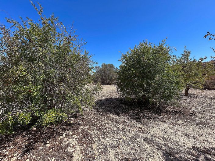 Image No.18-3 Bed Country House for sale