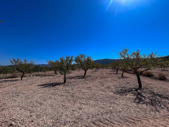 Image No.19-3 Bed Country House for sale