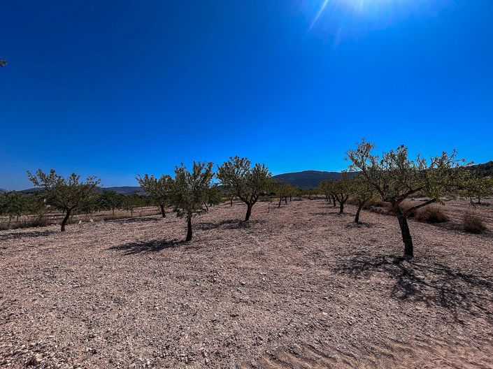 Image No.19-3 Bed Country House for sale