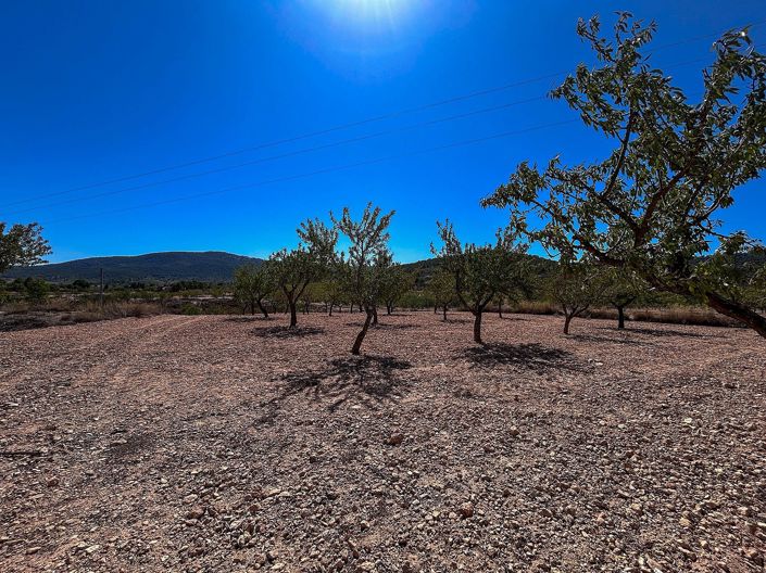 Image No.20-3 Bed Country House for sale