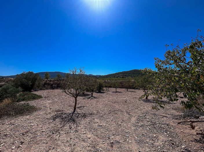 Image No.21-3 Bed Country House for sale