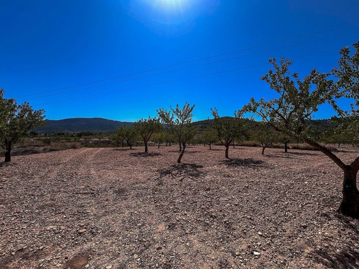 Image No.23-3 Bed Country House for sale