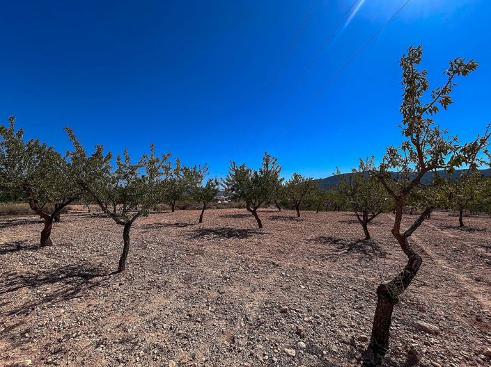 Image No.24-3 Bed Country House for sale