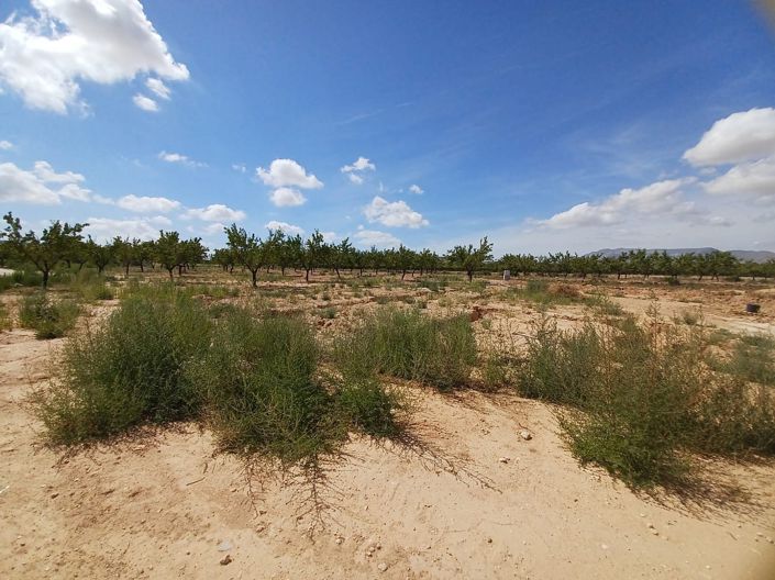 Image No.21-1 Bed Villa for sale