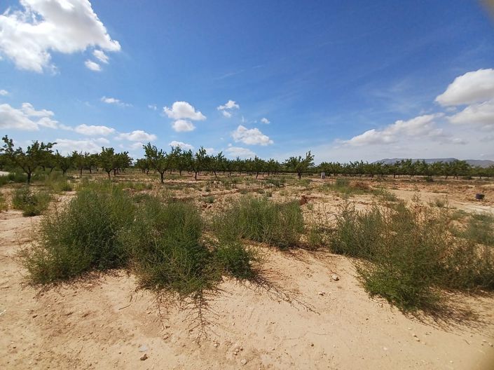 Image No.21-1 Bed Villa for sale