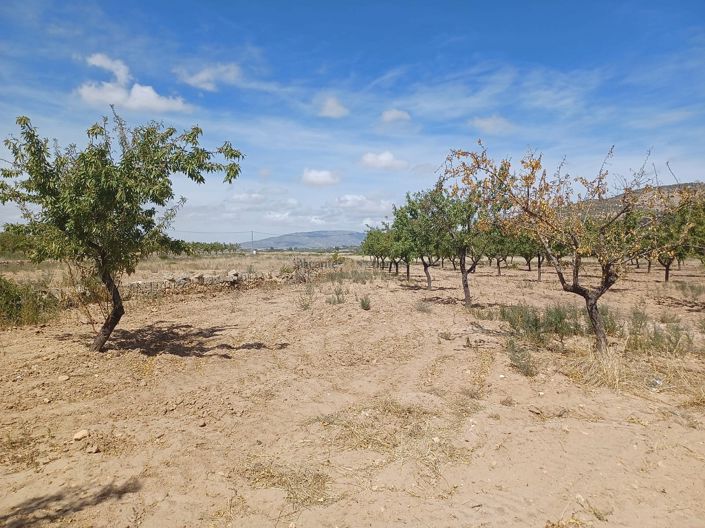 Image No.30-1 Bed Villa for sale