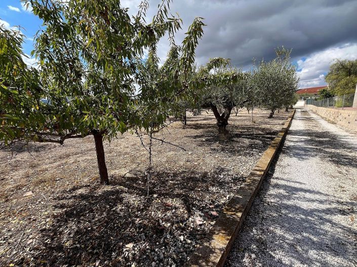 Image No.23-3 Bed Country House for sale