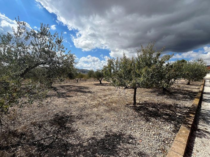 Image No.3-3 Bed Country House for sale