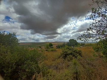 wwhatsapp-image-2025-10-01-at-121048-1-