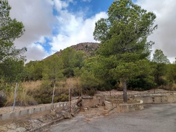 wwhatsapp-image-2025-10-01-at-121047-5-