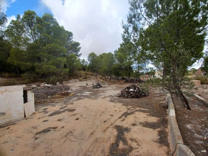 Image No.30-3 Bed Country House for sale