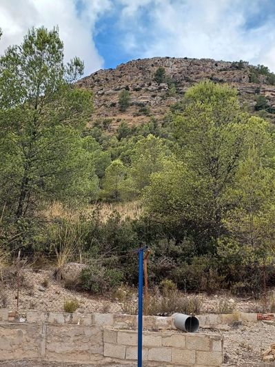 Image No.32-3 Bed Country House for sale