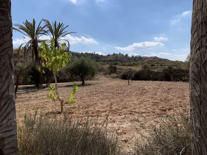 Image No.12-Maison de 5 chambres à vendre à Macisvenda