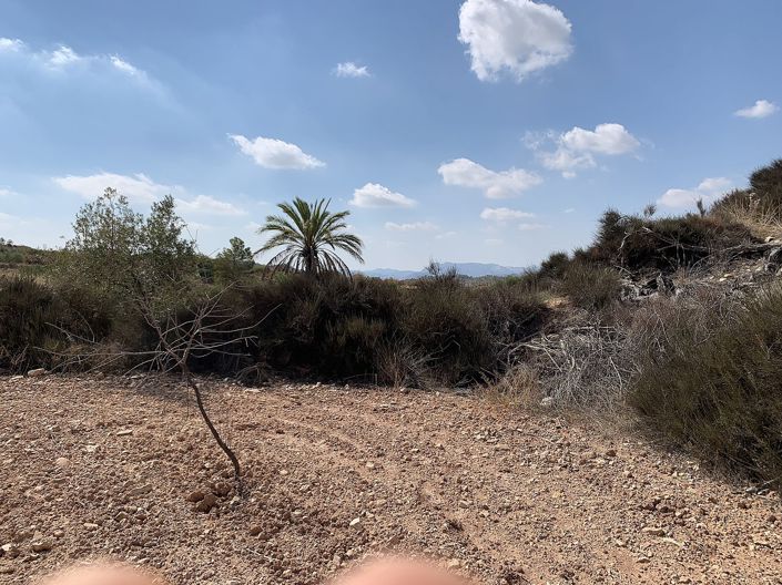 Image No.15-Maison de 5 chambres à vendre à Macisvenda