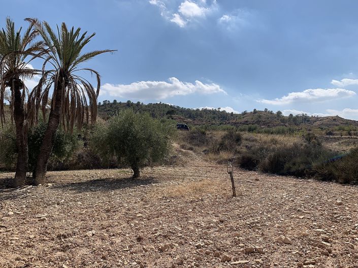 Image No.16-Maison de 5 chambres à vendre à Macisvenda