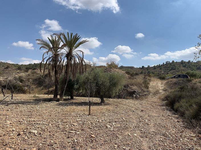 Image No.17-5 Bed House for sale