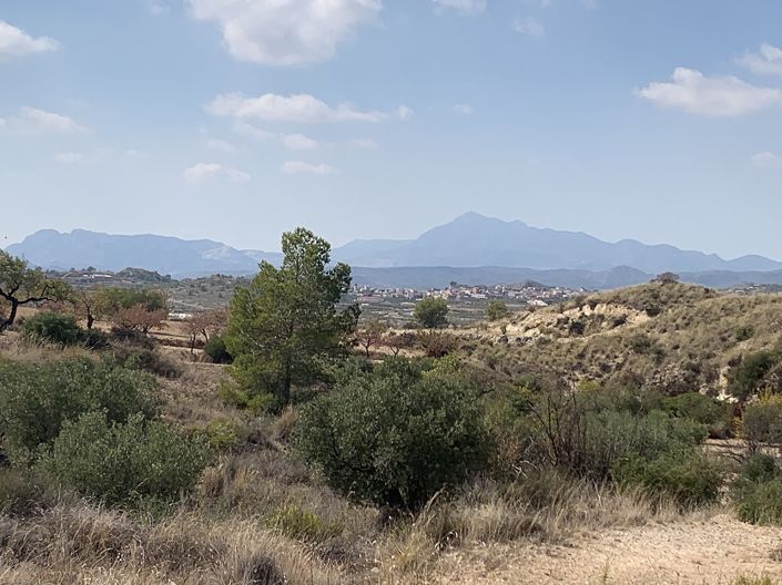 Image No.19-Maison de 5 chambres à vendre à Macisvenda
