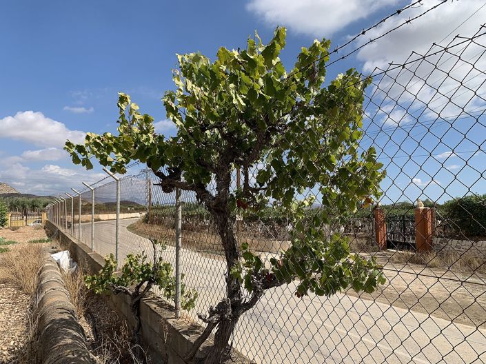 Image No.48-Villa de 4 chambres à vendre à Aspe