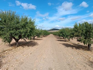 wwhatsapp-image-2025-09-24-at-133736