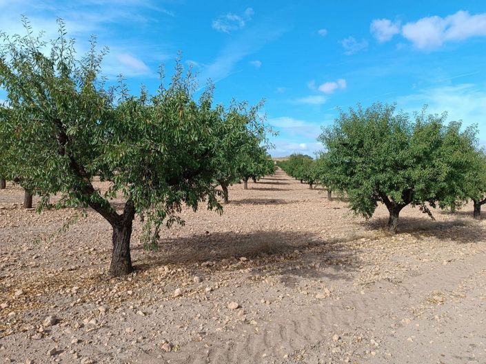 Image No.15-Land for sale