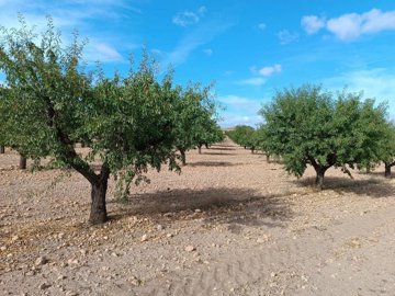 wwhatsapp-image-2025-09-24-at-133736-1-