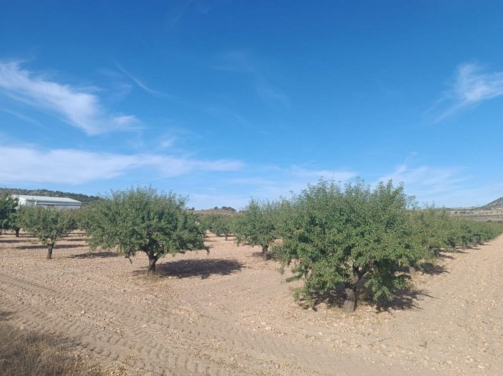 Image No.5-Land for sale