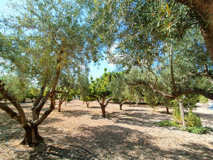 Image No.44-4 Bed Villa for sale