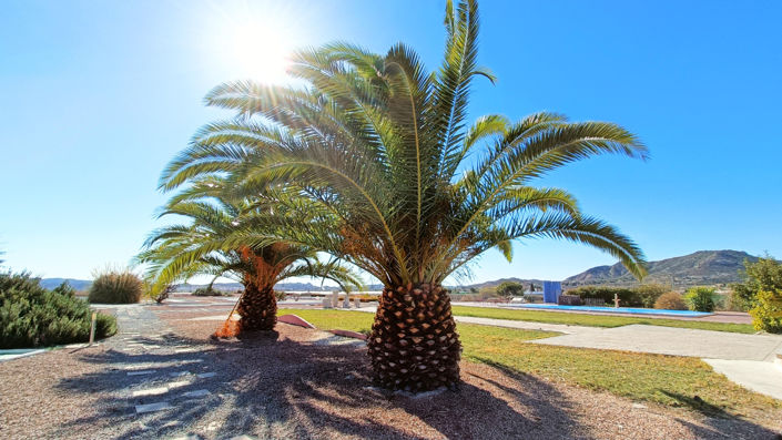 Image No.11-5 Bed Villa for sale