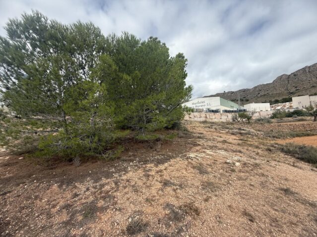 Image No.11-Land for sale