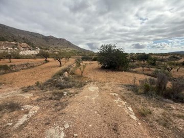 img5265-639x479
